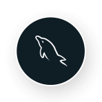 my_sql_icon